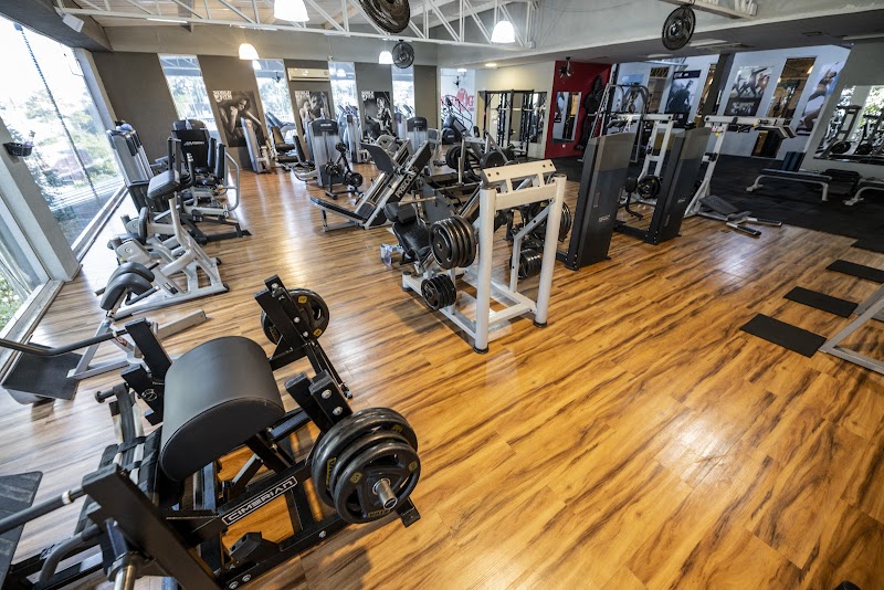 World Gym Curitiba - Academia em Bom Retiro, Curitiba/PR - Foto 2