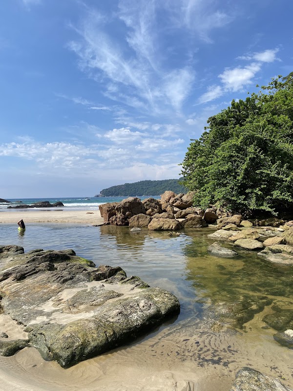 Alfly Viagens e Turismo