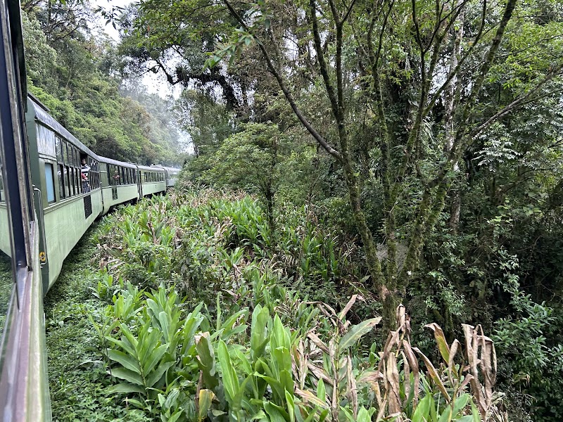 Special Paraná Turismo Receptivo - Agência de Viagens em Centro, Curitiba/PR - Foto 4