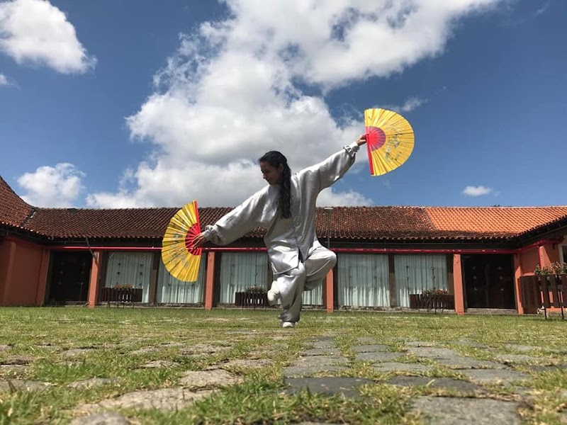 Jing Wu (Senda) - Kung Fu e Tai Chi Chuan - Artes Marciais em Centro, Curitiba/PR - Foto 2