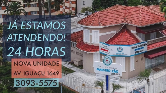 Clínica Veterinária Maestro Cão