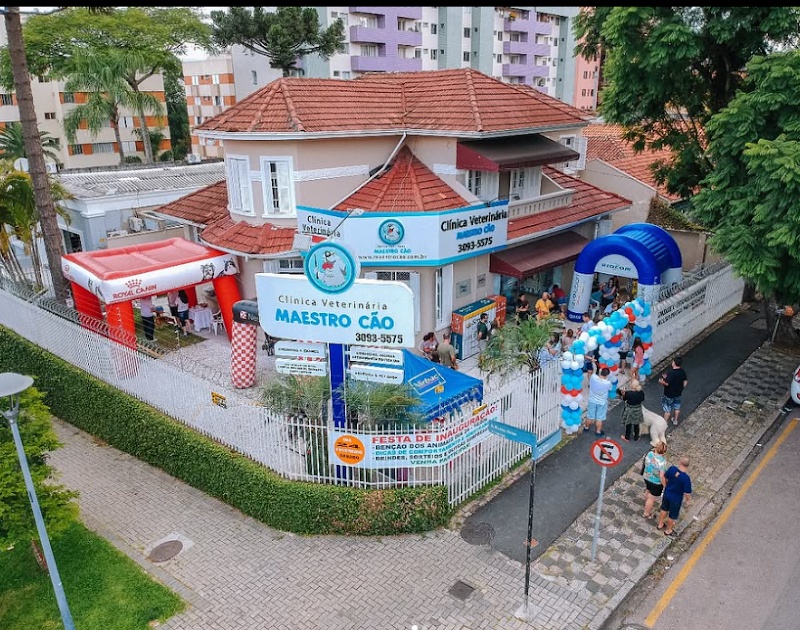 Clínica Veterinária Maestro Cão - Clínica Veterinária em Água Verde, Curitiba/PR - Foto 3