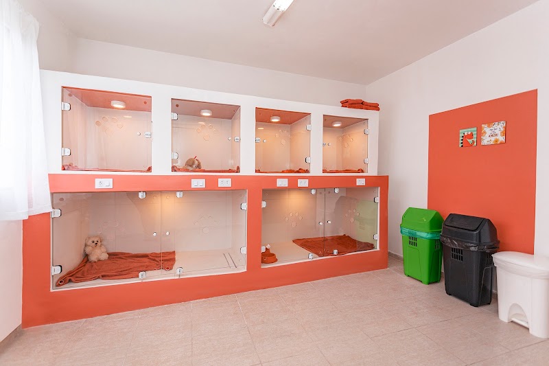 Centro Clínico Vital PetCare