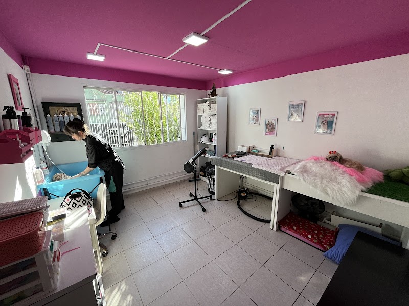 Centro Clínico Vital PetCare - Clínica Veterinária em Alto da Rua XV, Curitiba/PR - Foto 3