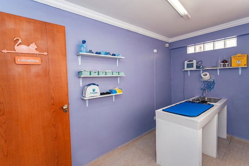 Centro Clínico Vital PetCare - Clínica Veterinária em Alto da Rua XV, Curitiba/PR - Foto 4