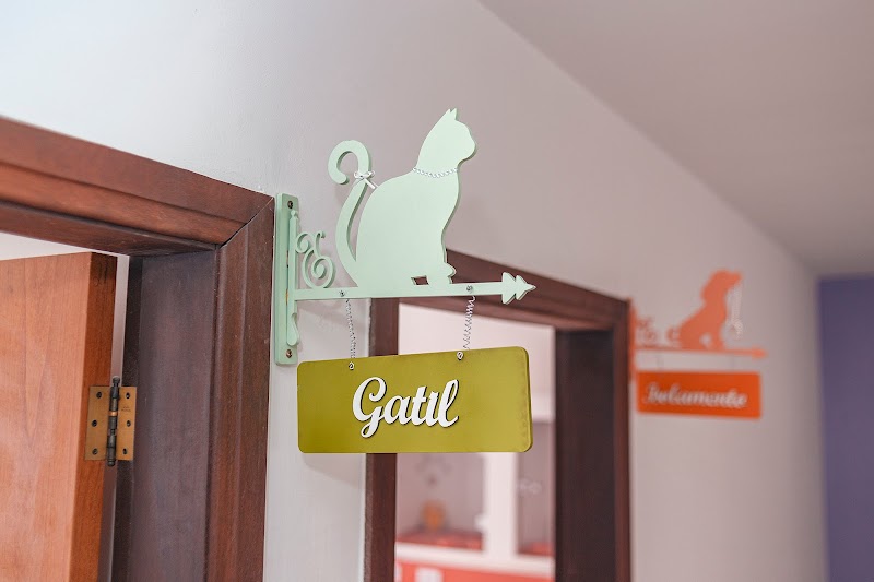 Foto 6 de Centro Clínico Vital PetCare