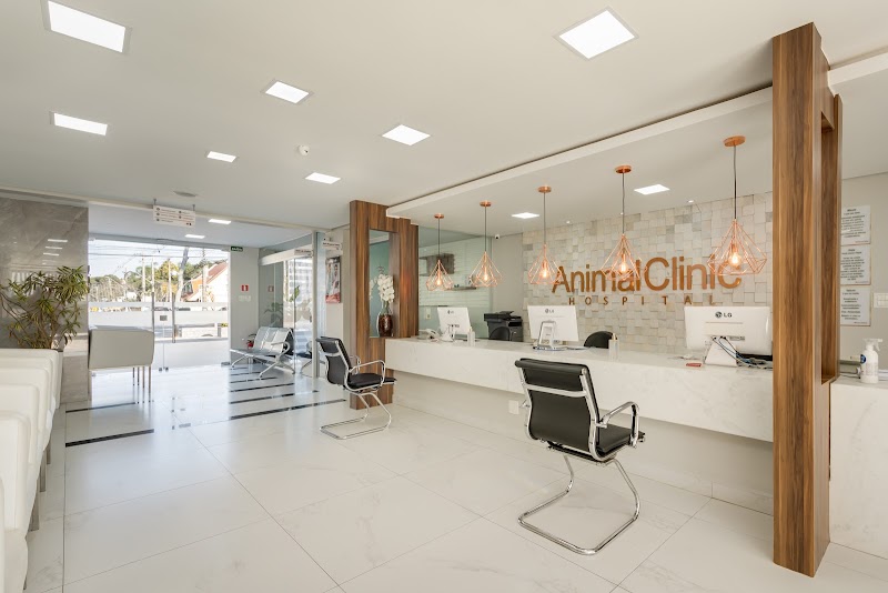 Animal Clinic Bacacheri - Clínica Veterinária em Bacacheri, Curitiba/PR - Foto 4