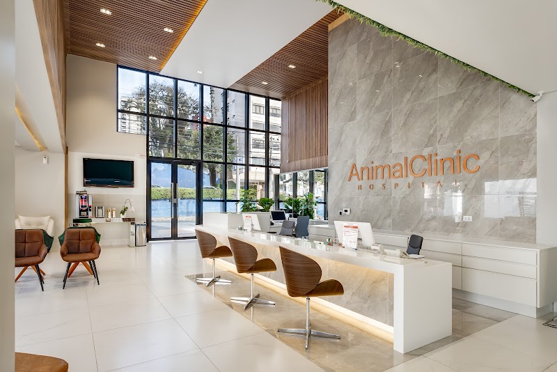 Animal Clinic Batel - Clínica Veterinária em Batel, Curitiba/PR - Foto 2