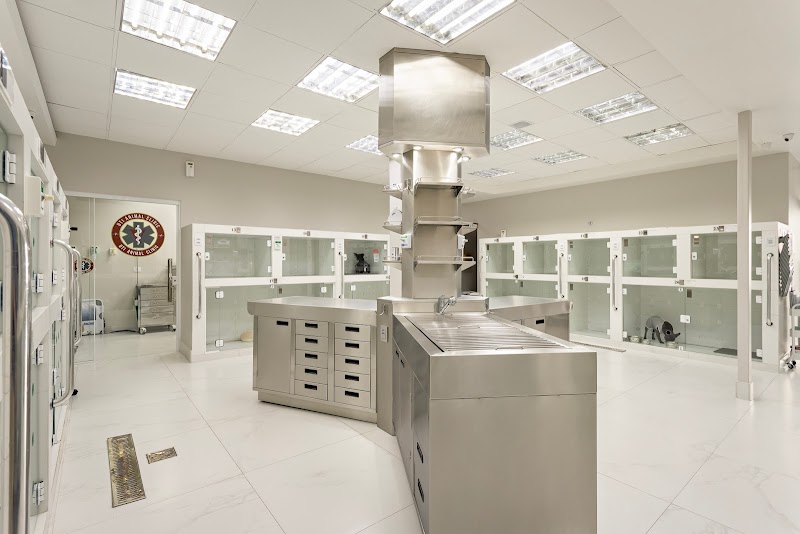 Animal Clinic Batel - Clínica Veterinária em Batel, Curitiba/PR - Foto 4