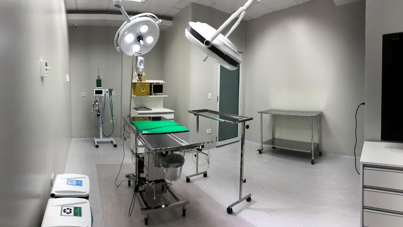 Foto 6 de Animal Clinic Batel