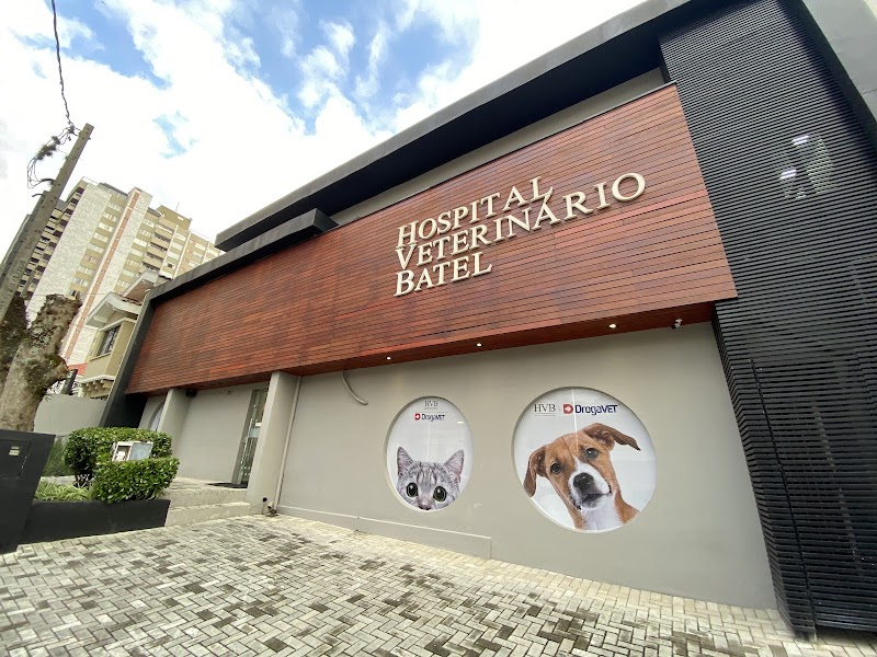 Hospital Veterinário Batel - Clínica Veterinária em Batel, Curitiba/PR - Foto 2