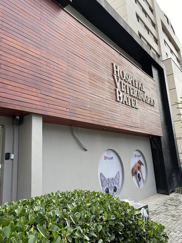 Hospital Veterinário Batel - Clínica Veterinária em Batel, Curitiba/PR - Foto 3