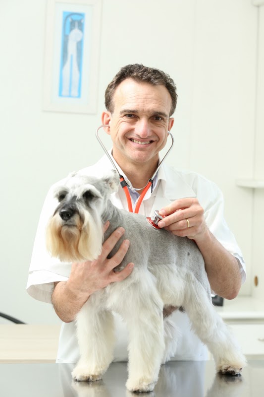 Arca de Noé Clínica Veterinária - Clínica Veterinária em Campina do Siqueira, Curitiba/PR - Foto 4