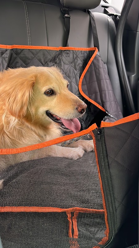 TopClin Pet - Clínica Veterinária em Centro, Curitiba/PR - Foto 3