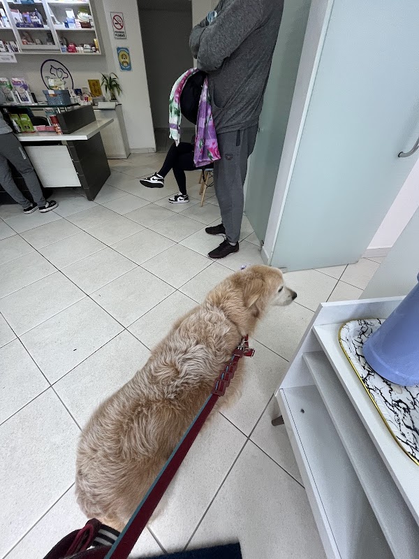 TopClin Pet - Clínica Veterinária em Centro, Curitiba/PR - Foto 4