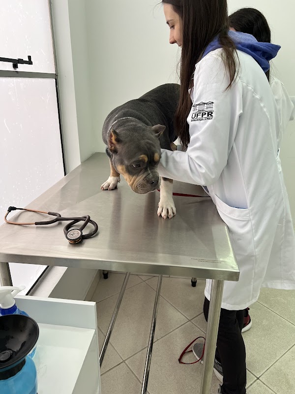 Foto 6 de TopClin Pet