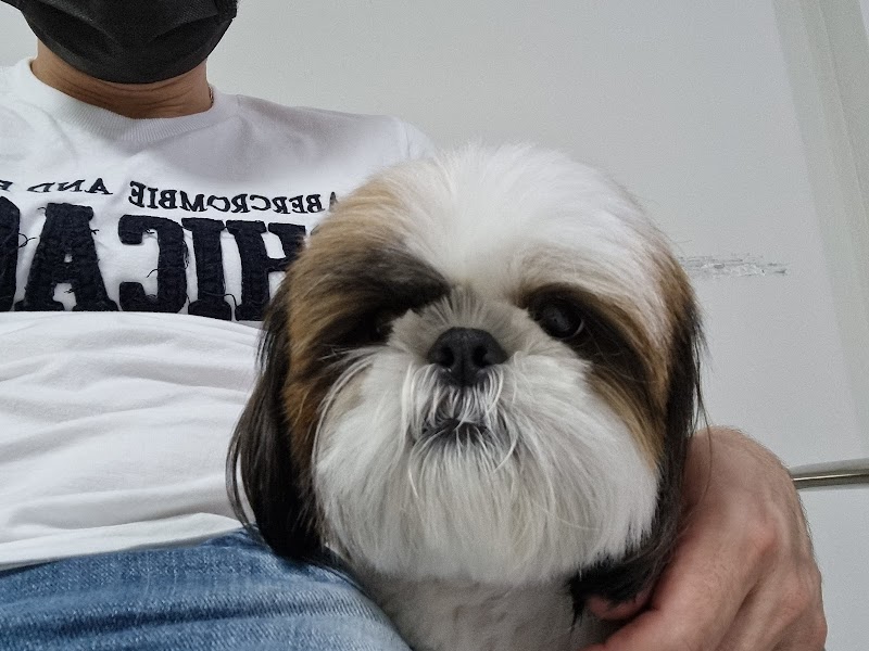 Garra Hospital Veterinário - Clínica Veterinária em Cristo Rei, Curitiba/PR - Foto 4