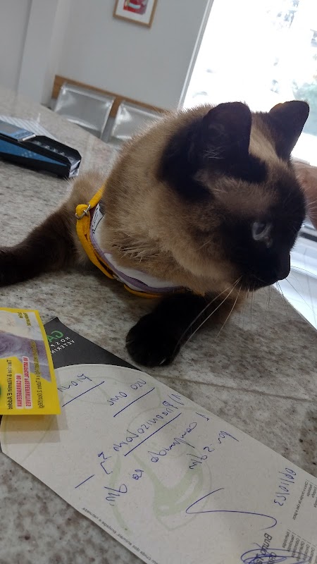 Foto 6 de Garra Hospital Veterinário