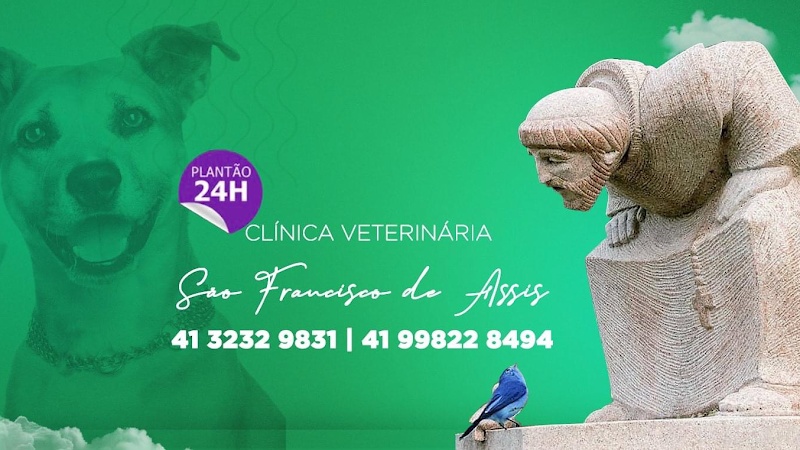 Clínica Veterinária São Francisco de Assis