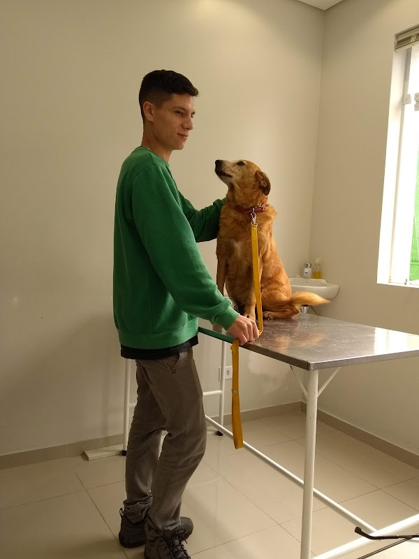 Clínica Veterinária São Francisco de Assis - Clínica Veterinária em Mercês, Curitiba/PR - Foto 3