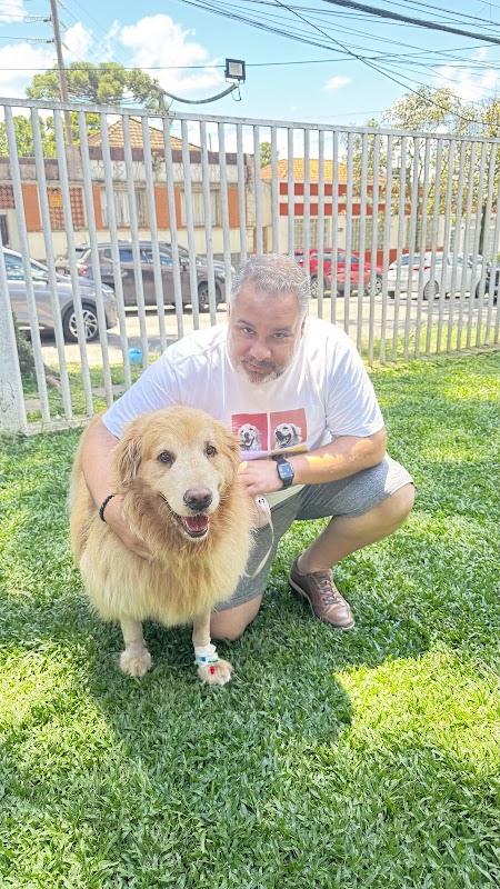 Intensiva Veterinária