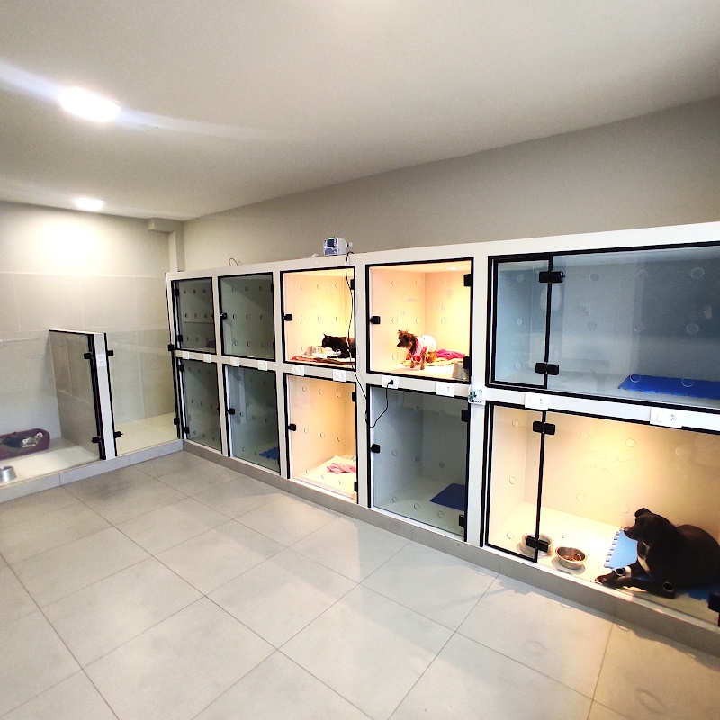 BIOS Centro Veterinário - Clínica Veterinária em Rebouças, Curitiba/PR - Foto 5