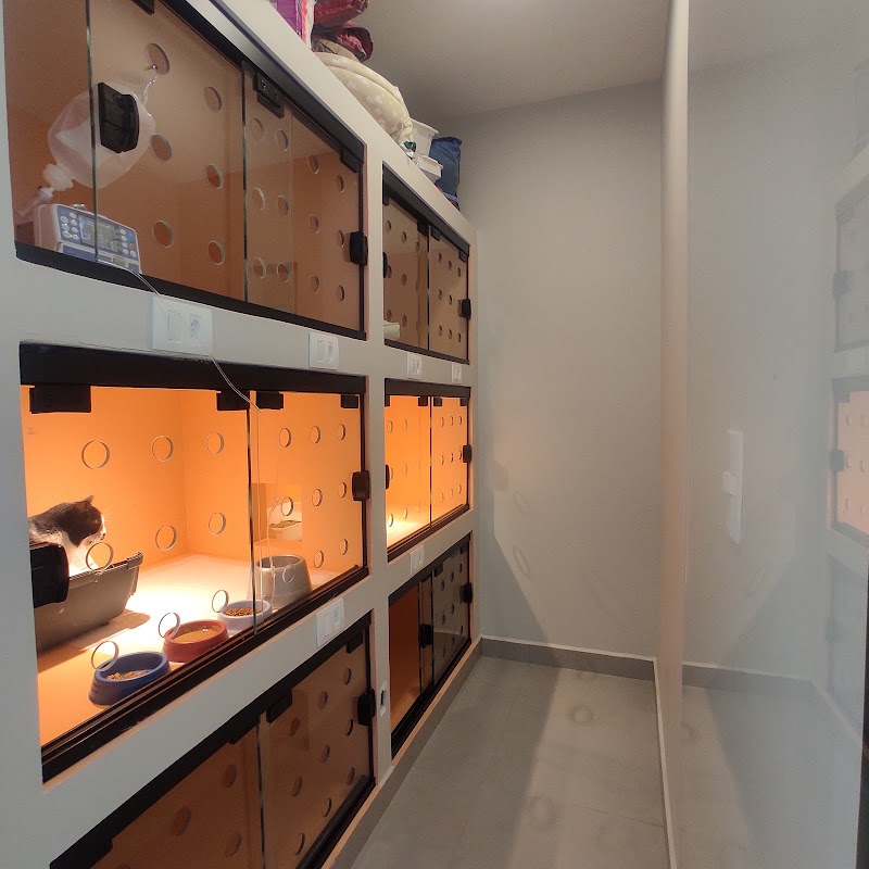 Foto 6 de BIOS Centro Veterinário