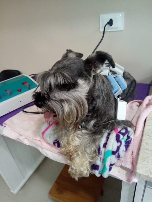Hospital Veterinário Santa Mônica