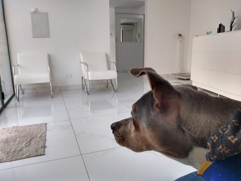 HVC Centro Veterinário - Clínica Veterinária em São Francisco, Curitiba/PR - Foto 5