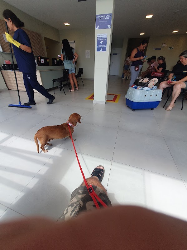 Hospital Veterinário Municipal de Curitiba - Clínica Veterinária em Taboão, Curitiba/PR - Foto 5