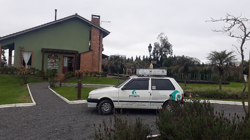 Prag Pro Controle de Pragas - Dedetizadora em Boqueirão, Curitiba/PR - Foto 2