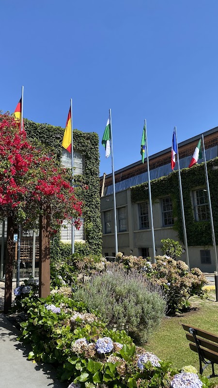 Instituto Cervantes - Escola de Idiomas em Alto da Glória, Curitiba/PR - Foto 4