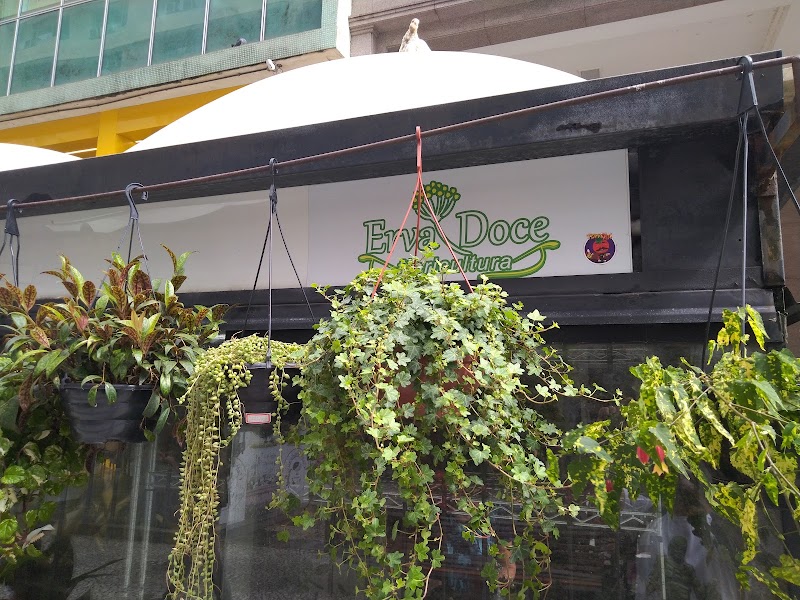 Erva Doce Floricultura loja 1