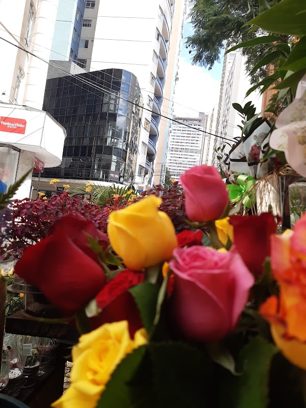 Erva Doce Floricultura loja 1 - Floricultura em Centro, Curitiba/PR - Foto 4