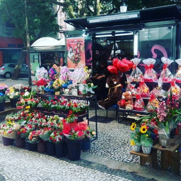 Erva Doce Floricultura loja 1 - Floricultura em Centro, Curitiba/PR - Foto 5