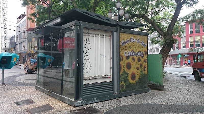 Flora Flor de Mel