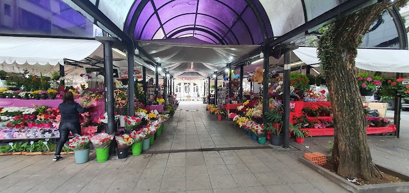 Floricultura Flores Pingo de Ouro - Floricultura em Centro, Curitiba/PR - Foto 2