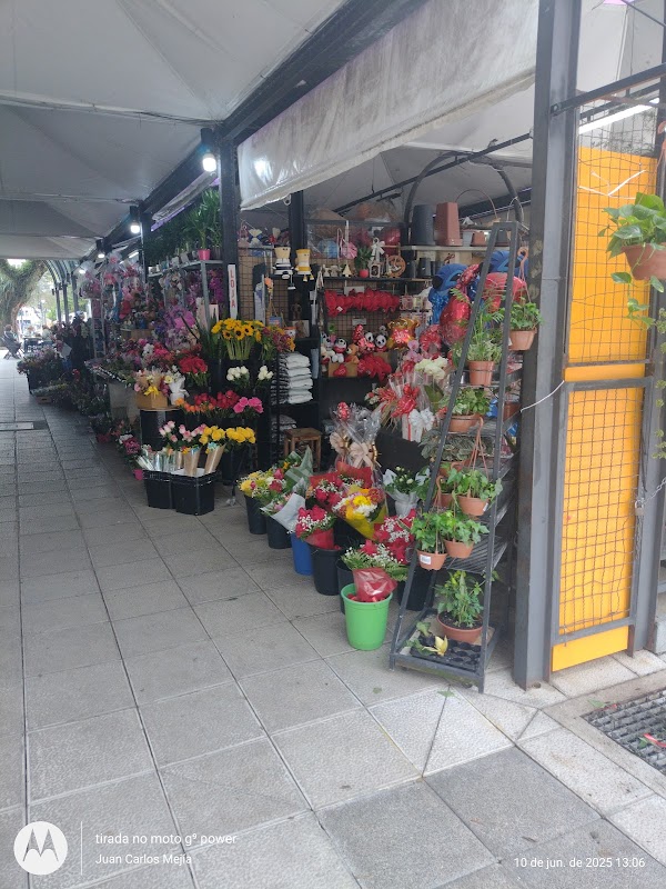 Floricultura Mercado das Flores