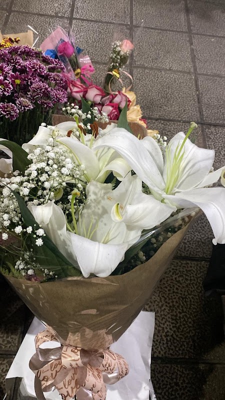 Floricultura Mercado das Flores - Floricultura em Centro, Curitiba/PR - Foto 4