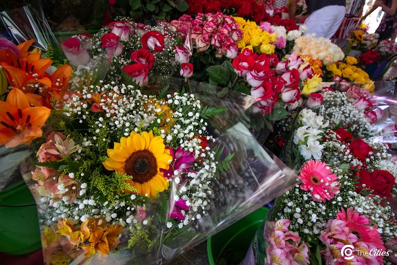 Frote Flores - Floricultura em Centro, Curitiba/PR - Foto 4