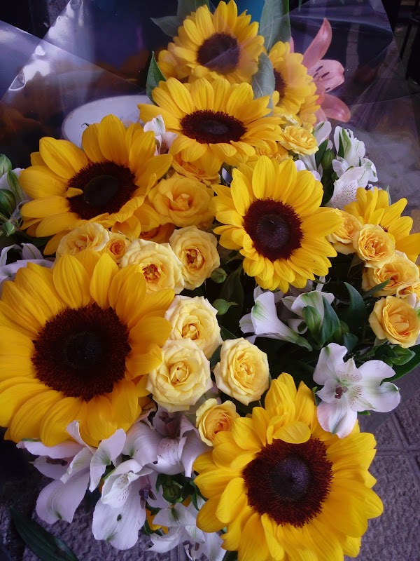 Foto 6 de Frote Flores