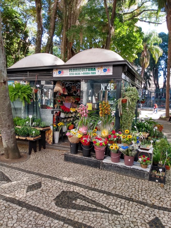 João & Maria Floricultura