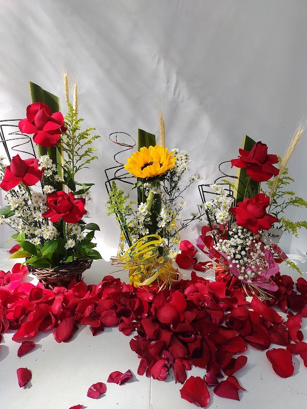 João & Maria Floricultura - Floricultura em Centro, Curitiba/PR - Foto 2