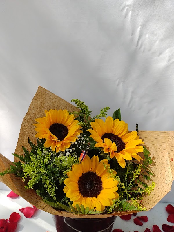 João & Maria Floricultura - Floricultura em Centro, Curitiba/PR - Foto 4