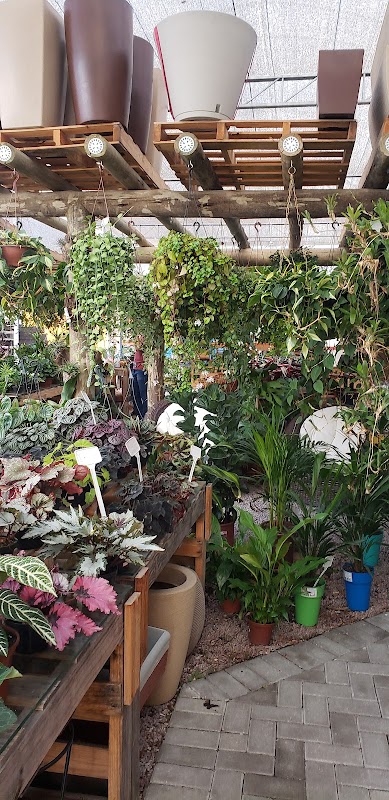 Floricultura Quintal & Casan - Floricultura em Portão, Curitiba/PR - Foto 3