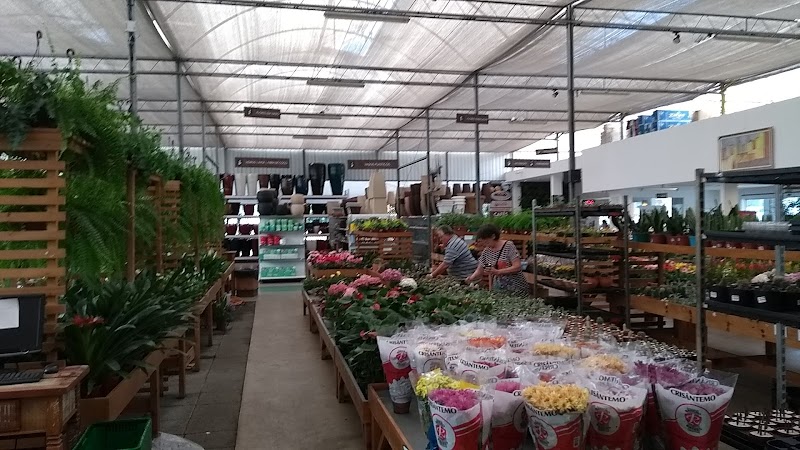 Esalflores Floricultura e Garden Center - Floricultura em Rebouças, Curitiba/PR - Foto 2