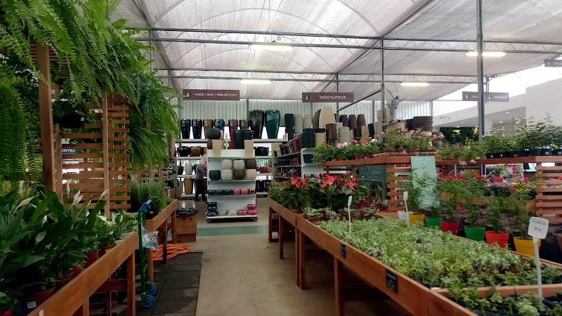 Esalflores Floricultura e Garden Center - Floricultura em Rebouças, Curitiba/PR - Foto 5