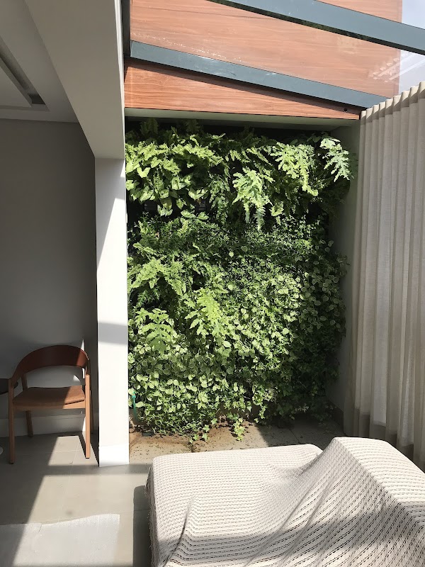 Foto 6 de Jardim da Rainha Paisagismo e Decoração