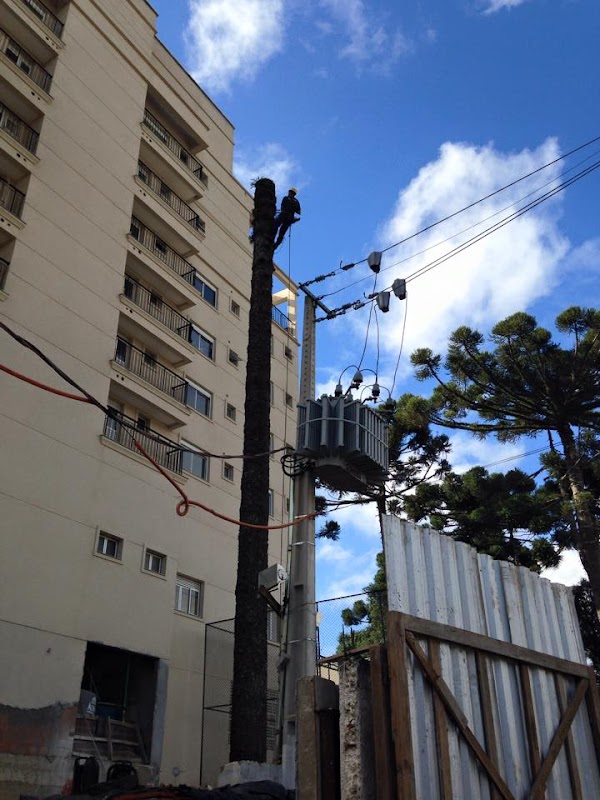 Empresa Corte Certo - Jardinagem e Paisagismo em Alto da Rua XV, Curitiba/PR - Foto 4