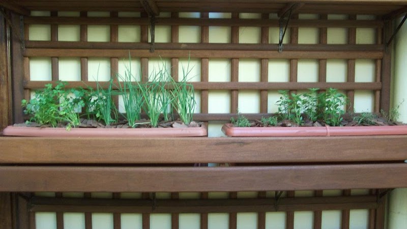 Edgarden Jardinagem e Paisagismo - Jardinagem e Paisagismo em Capão Raso, Curitiba/PR - Foto 2